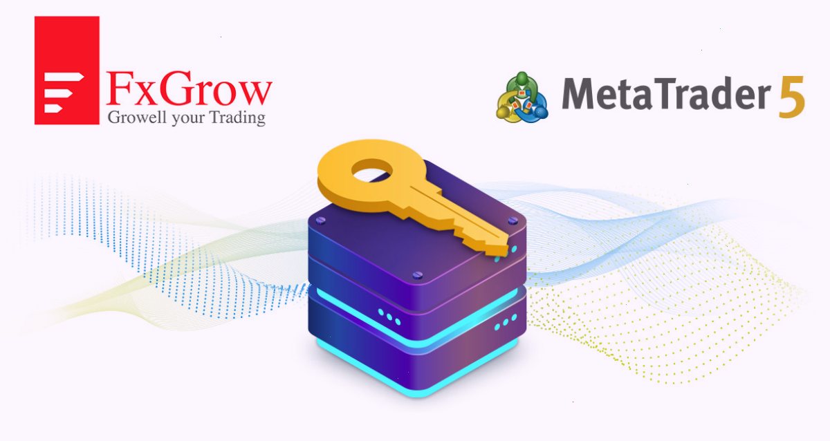 FxGrow Limited: “MetaTrader 5访问服务器主机服务拥有其他提供商无法比拟的优势”
